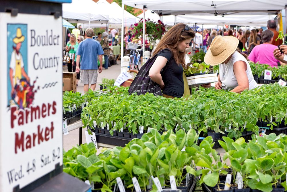 Plants for sale at Boulder County Farmers Market