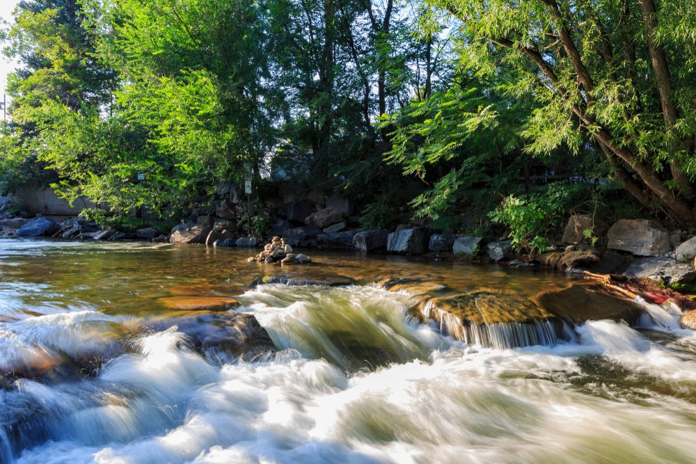 Rushing waters of Boulder Creek