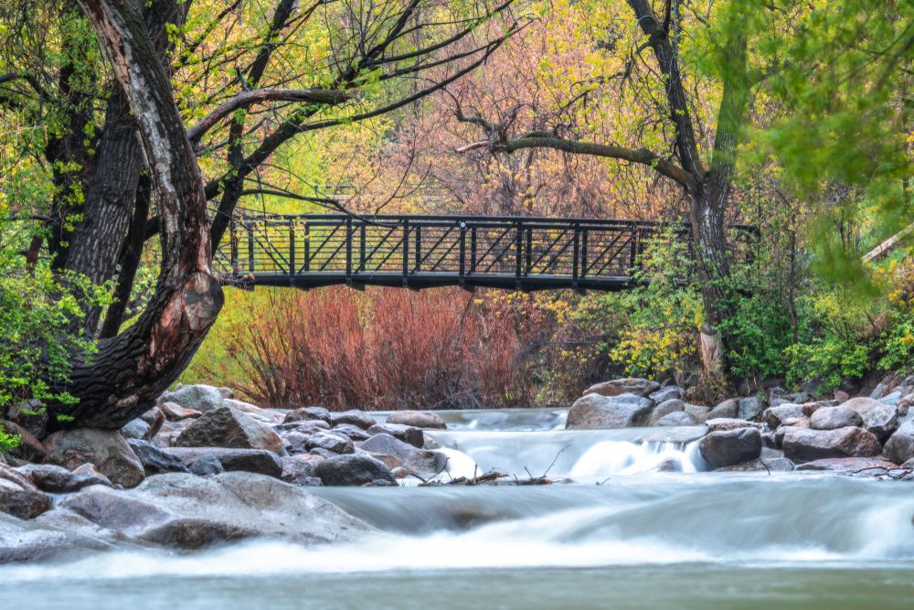 Rapids of Boulder Creek