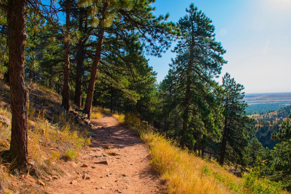 Mountain trail at Chautauqua Park
