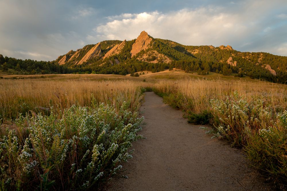 Hiking trail leading to the Flatirons