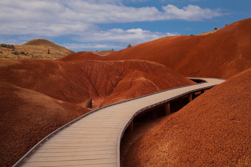View of Painted Hills