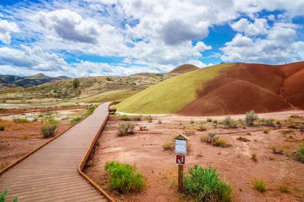 View of Painted Hills