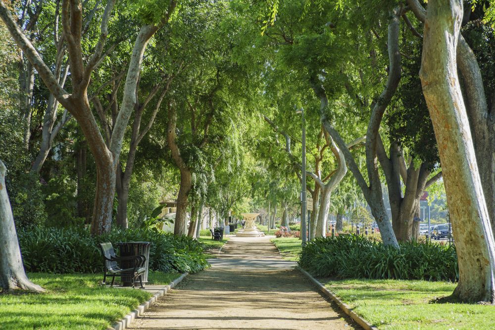 Paved walkway at Beverly Gardens Park