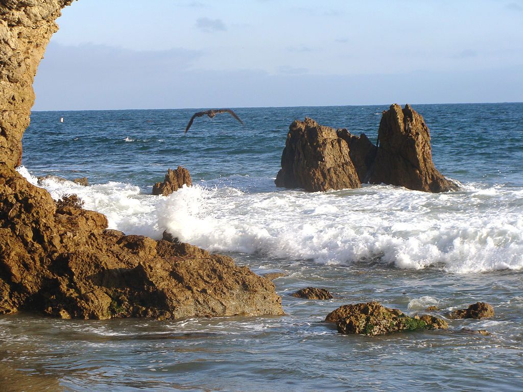 A bird flying over Corona Del Mar State Beach Park's water