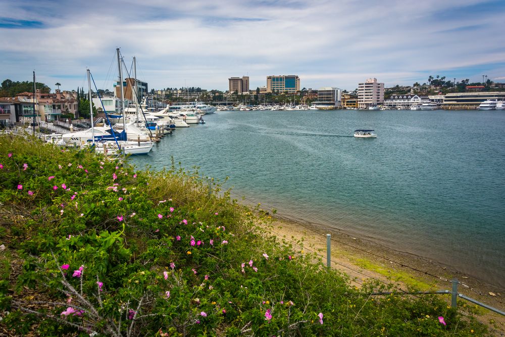 Boats docked at Lido Isle's harbor