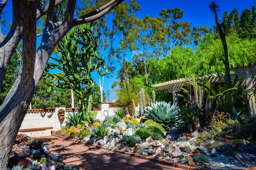 Succulents and plants at Sherman Library & Gardens