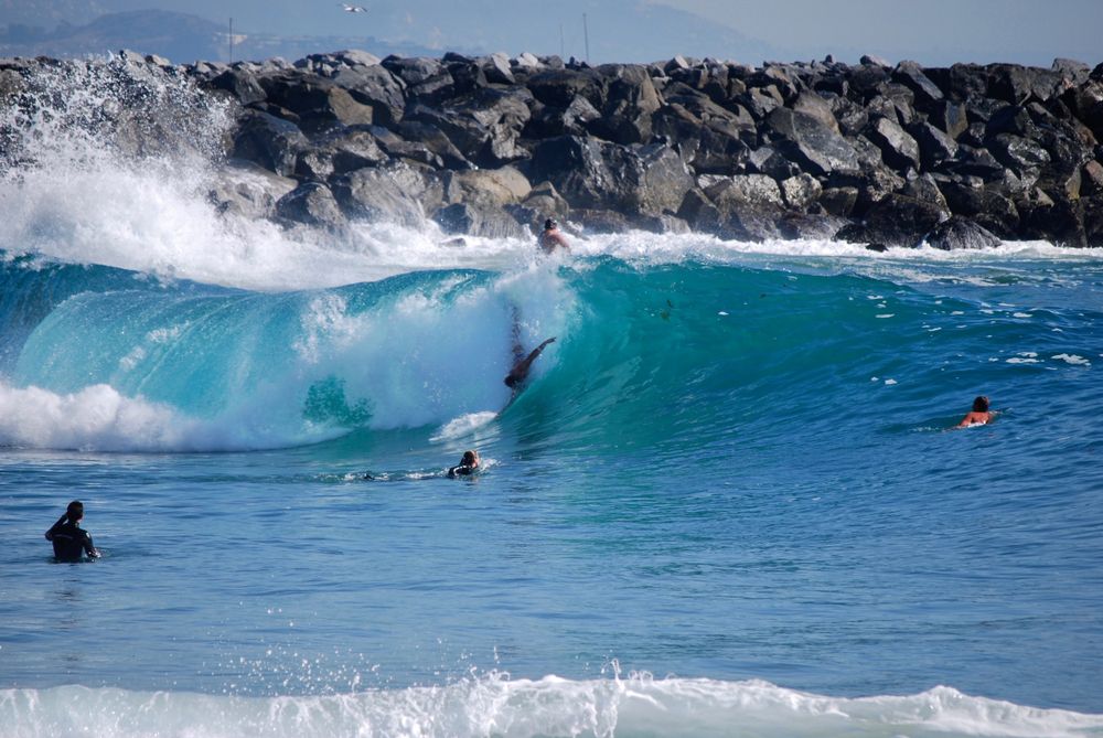 Body surfers riding the Wedge's wave