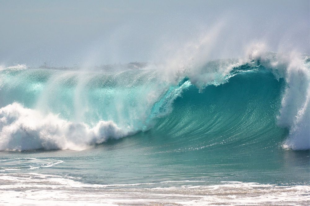 Big waves of the Wedge