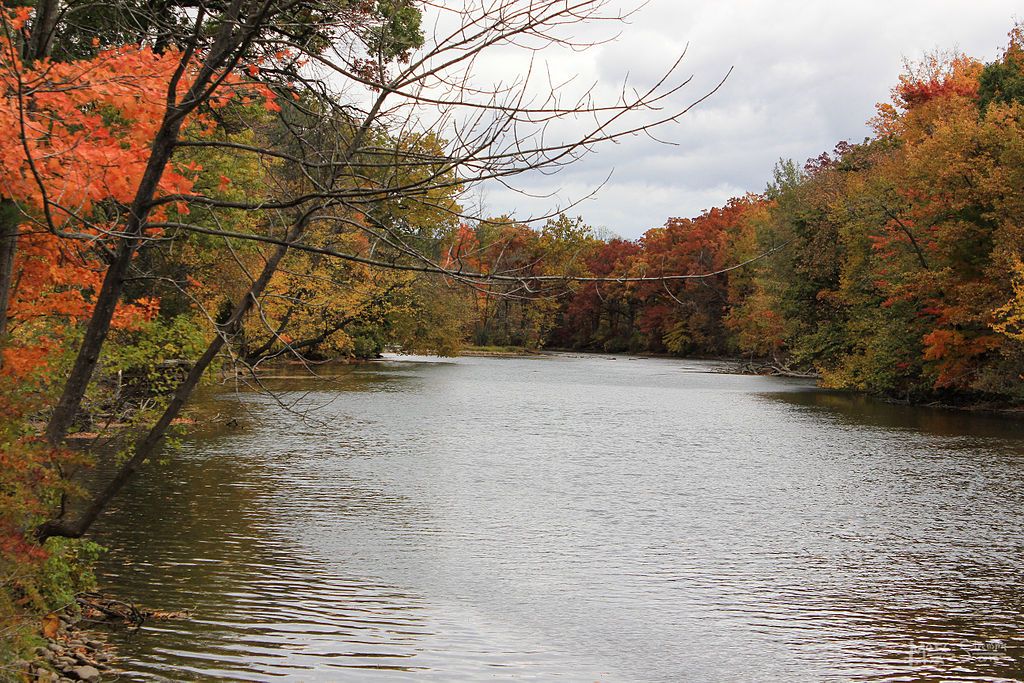 View of the Muskegon river with fall colored trees surrounding it.