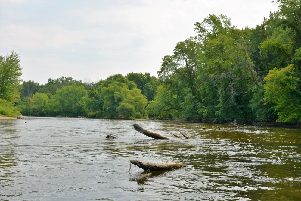 Green trees around the flowing water of muskegon river.