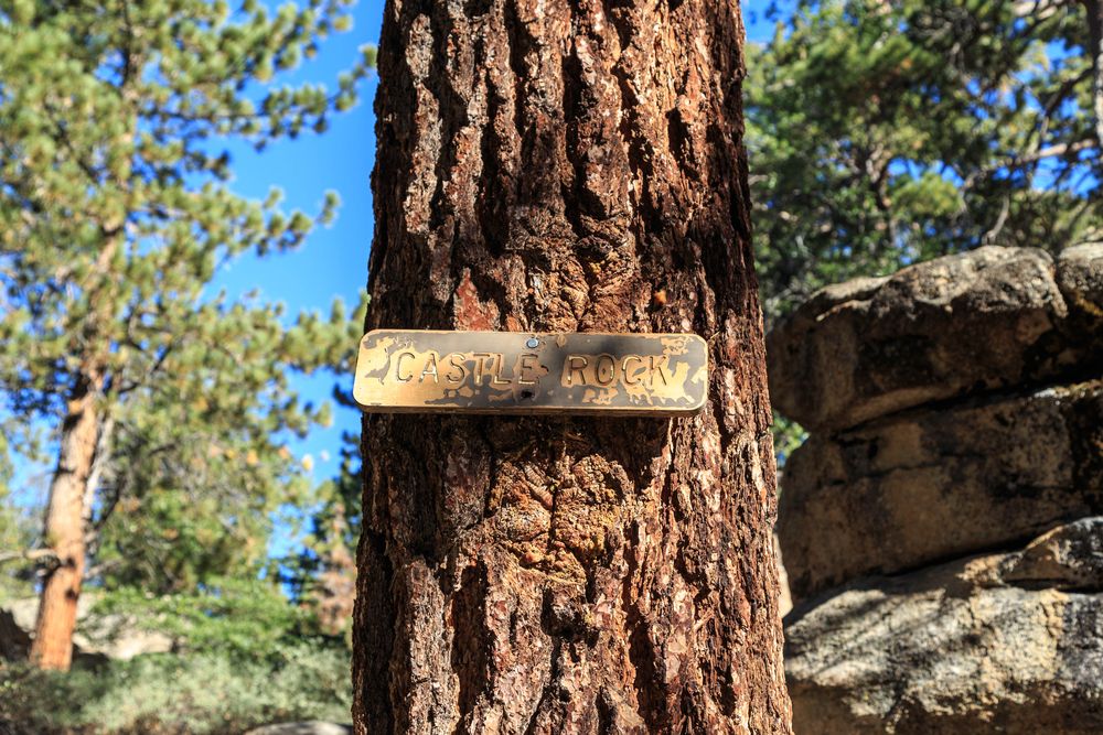 Castle rock sign on a tree along Castle Rock Trail