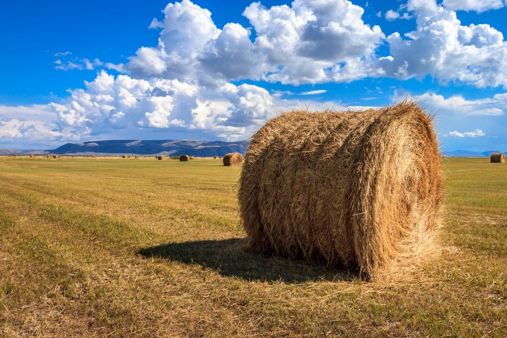 Hay bale on the grounds of Bear Lake National Wildlife Refuge