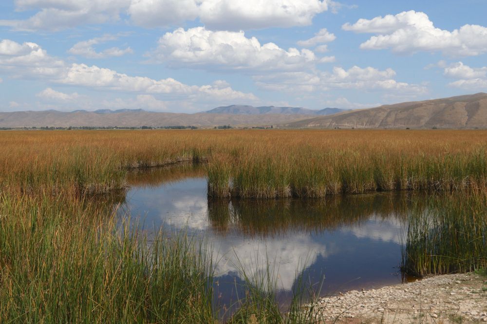 Wetlands of Bear Lake National Wildlife Refuge