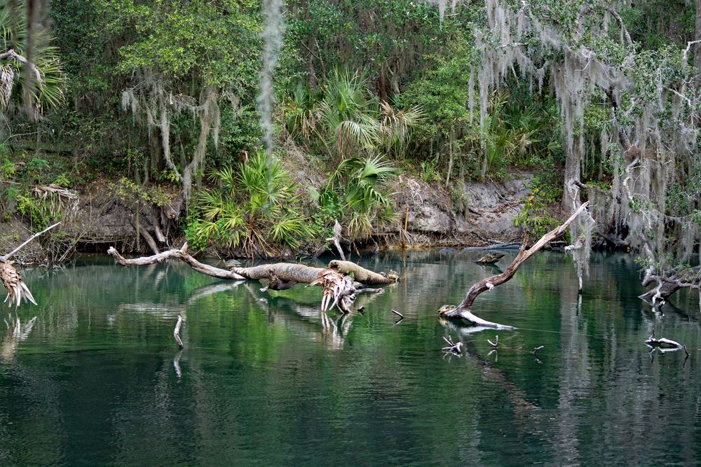 View of Blue Springs State Park