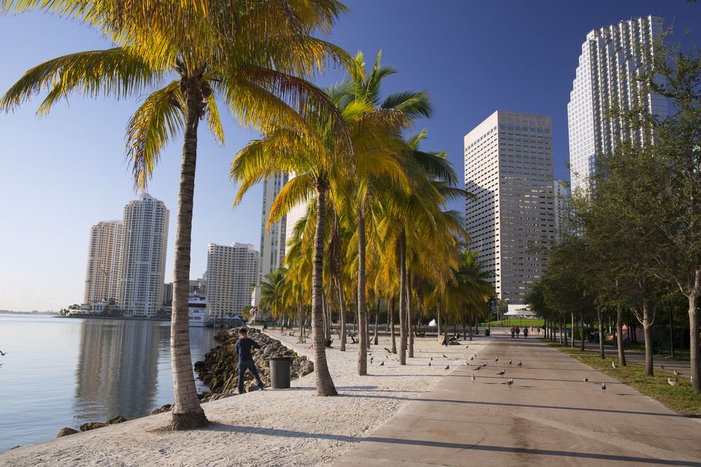 A trail at Bayfront Park
