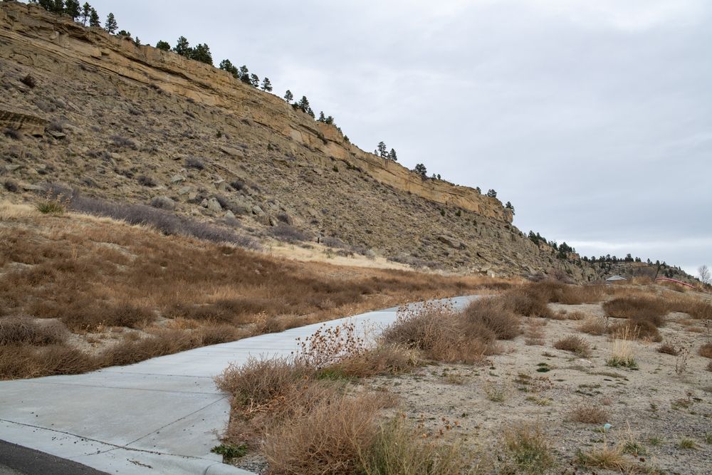 A trail at Zimmerman Park