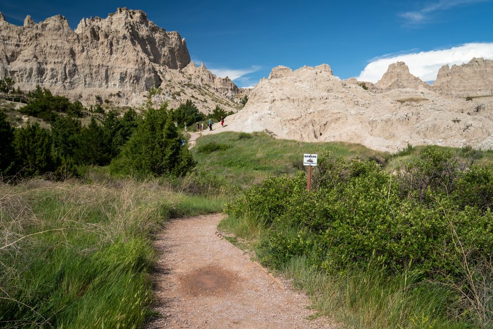 Dirt trail at Cliff Shelf Nature Trail