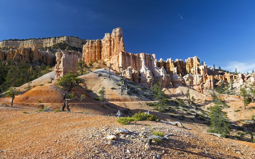 Landscape of the Fairyland Loop