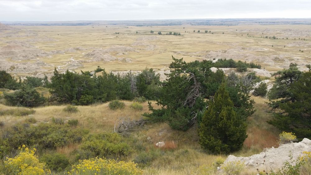 View of Badlands' great plains from Fossil Exhibit Trailhead