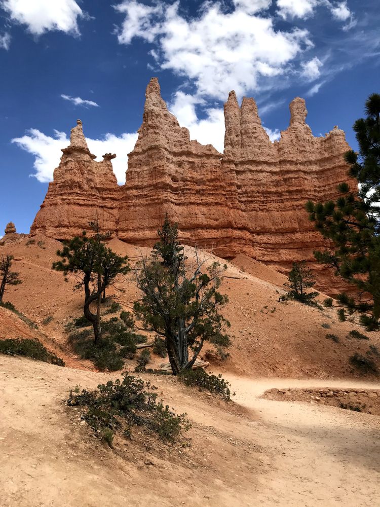 The hills of Mossy Cave Trail
