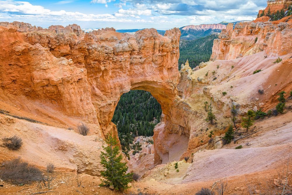 Daytime view of the beautiful Natural Bridge