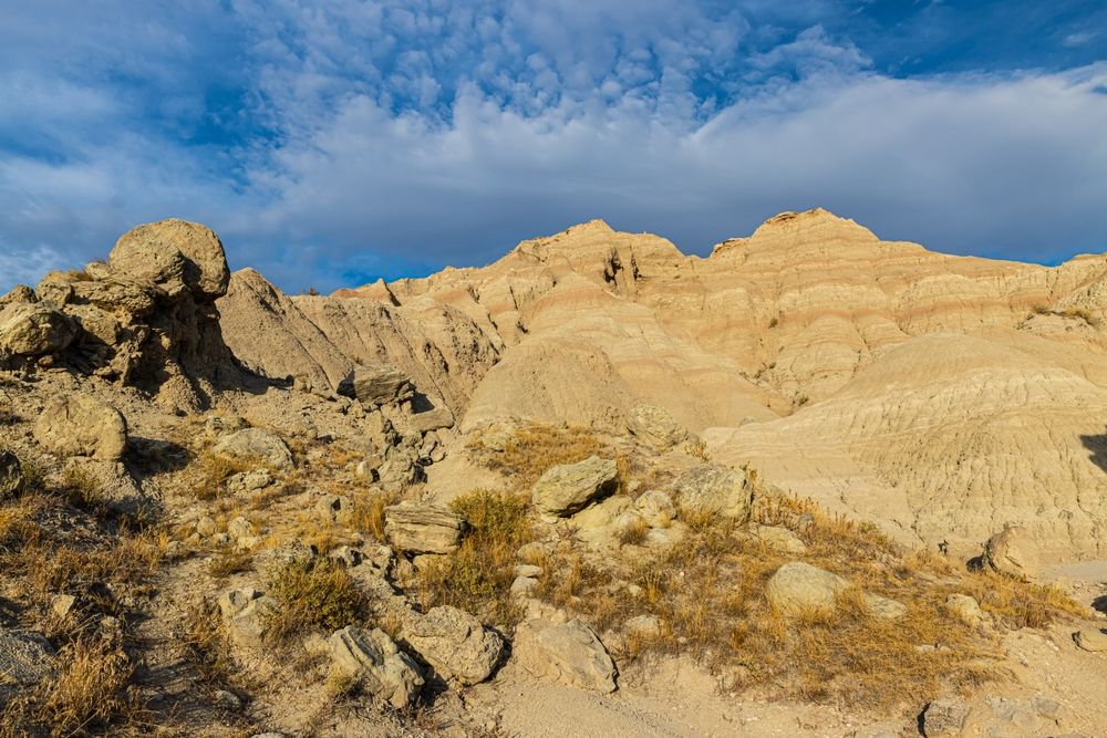 Sunny day at Norbeck Pass