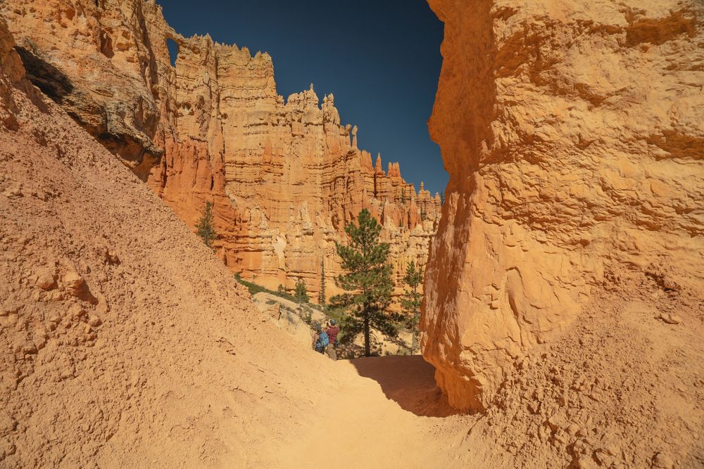 Wall of windows along Peekaboo Loop