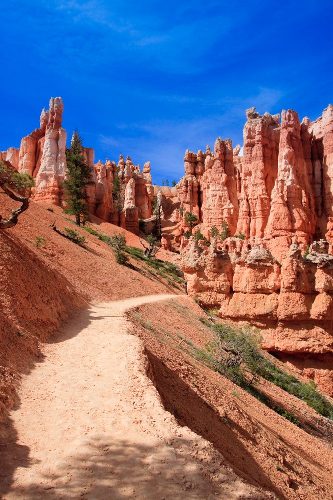 Hiking trail of Queen’s Garden Loop