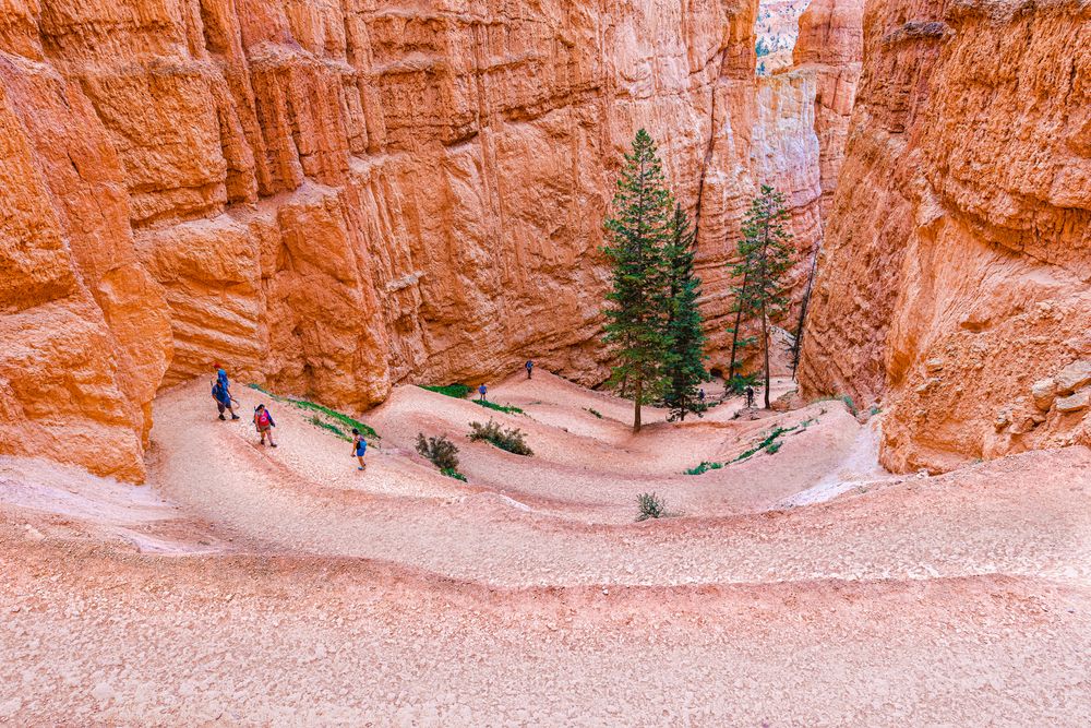 People exploring the Queen’s Garden Loop