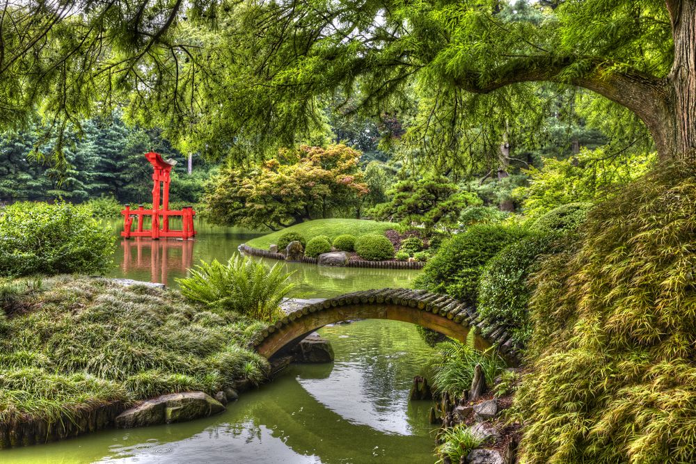 Japanese garden of Brooklyn Botanic Garden