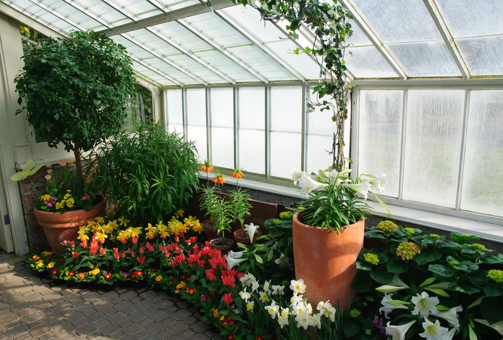 Flora inside the Buffalo and Erie County Botanical Gardens