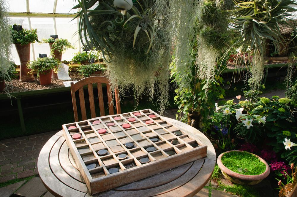 Checkers game in the Buffalo and Erie County Botanical Gardens