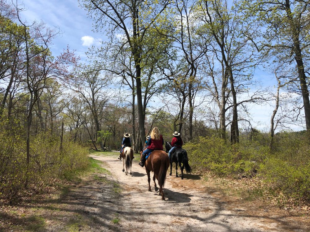 Horseback-riding at Connetquot River State Park Preserve