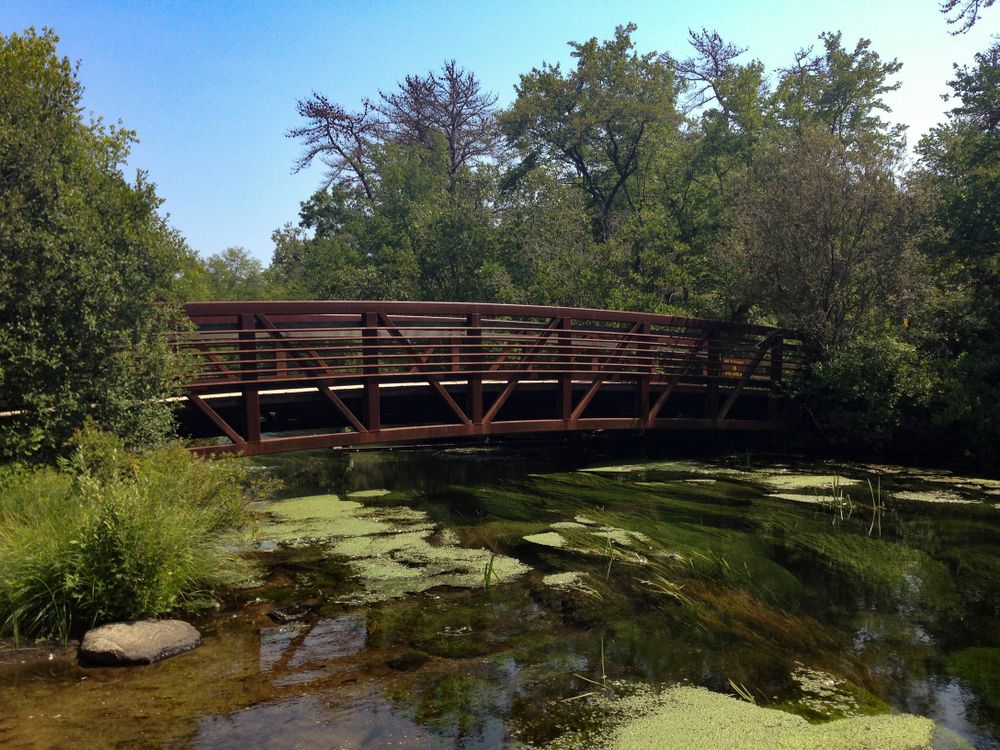 A short footbridge at Connetquot River State Park Preserve