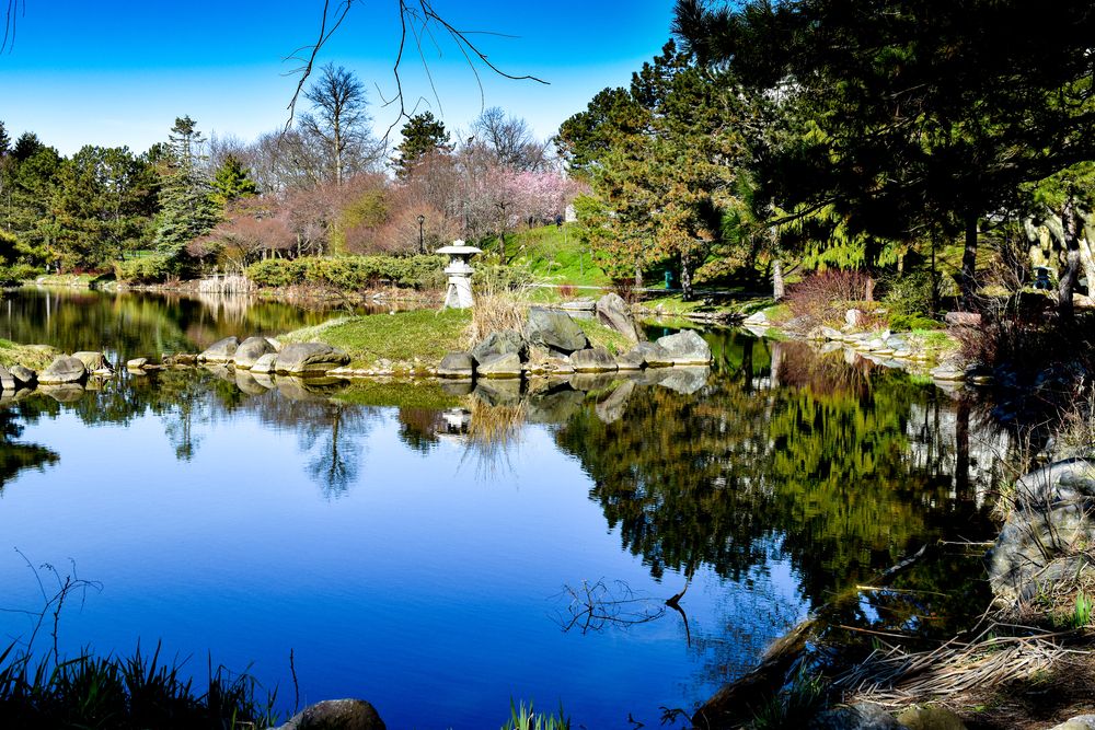 Japanese garden at Delaware Park