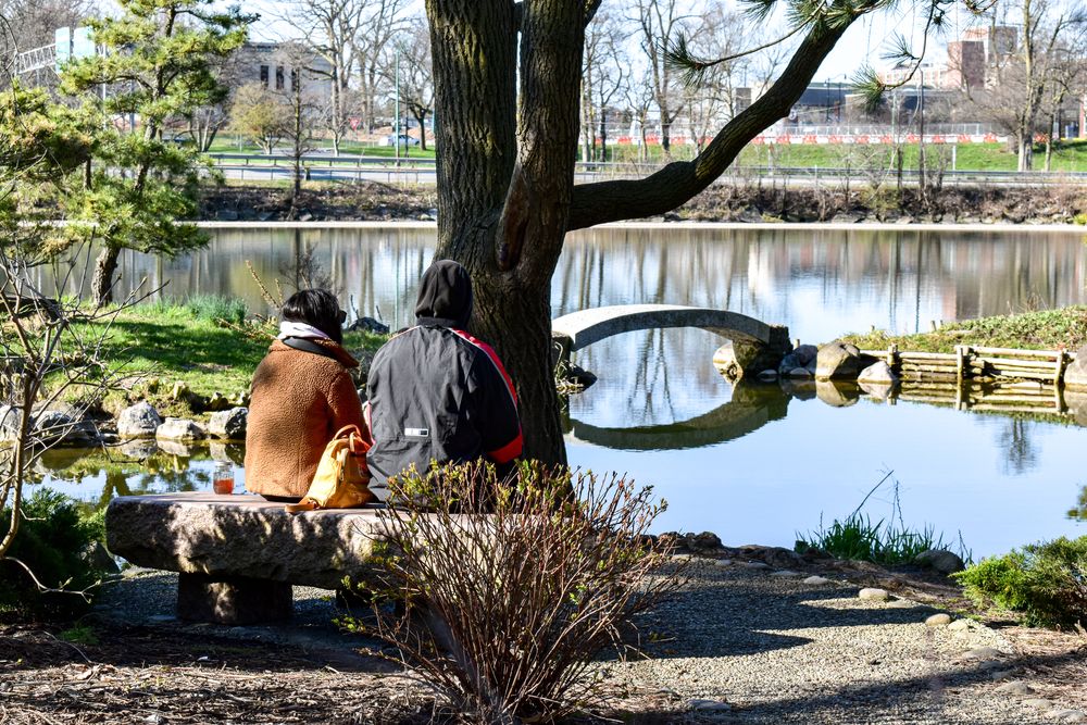 Couple admiring the view at Delaware Park