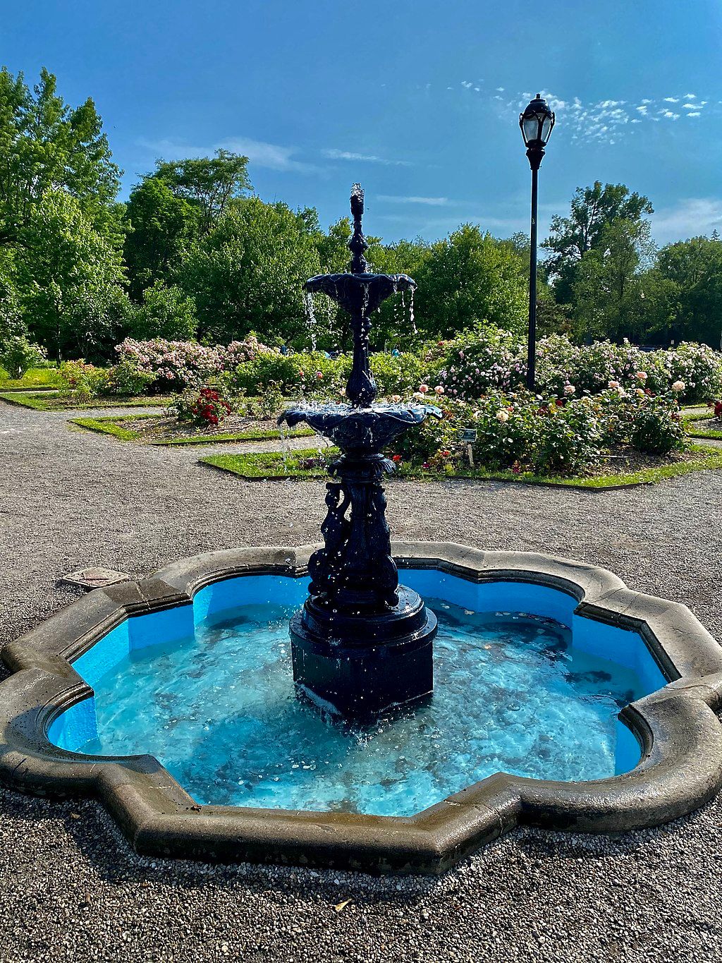 Fountain at Delaware Park's rose garden