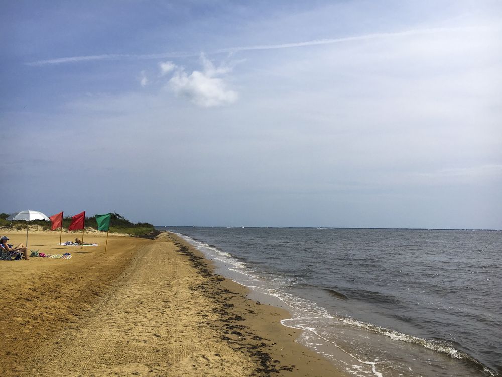 The beach of Heckscher State Park