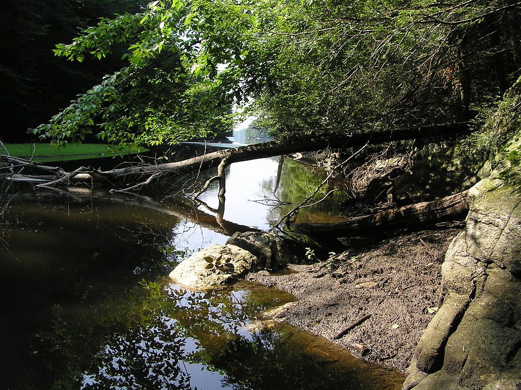 The waters of Mianus River Gorge Preserve