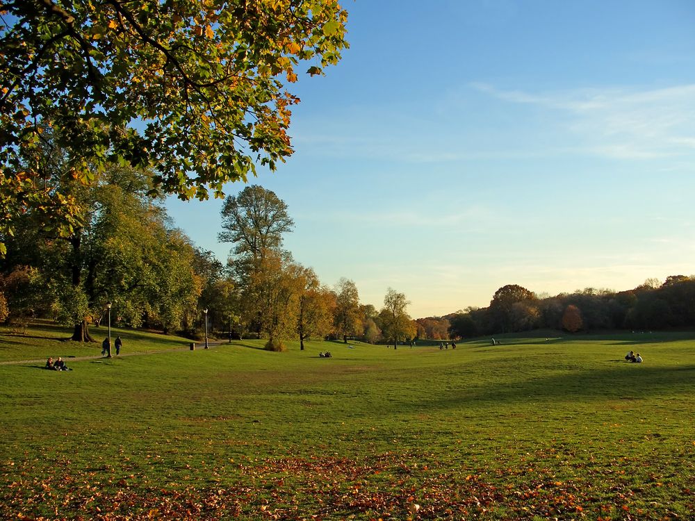 The grounds of Prospect Park