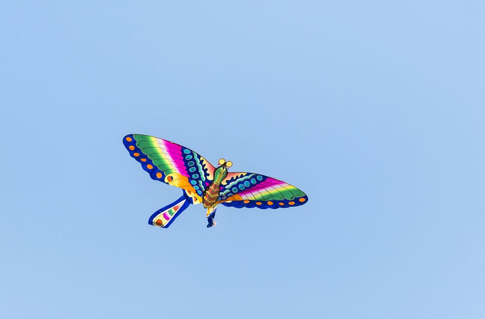 Butterfly kite on Festival of the Winds