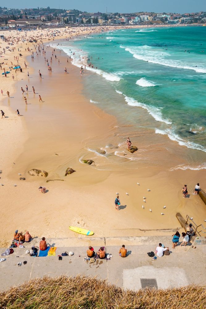Aerial view of people hanging out on bondi beach