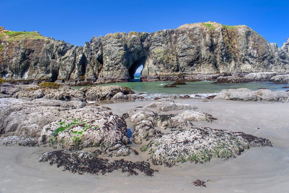 Close view of Elephant Rock From Coquille Point