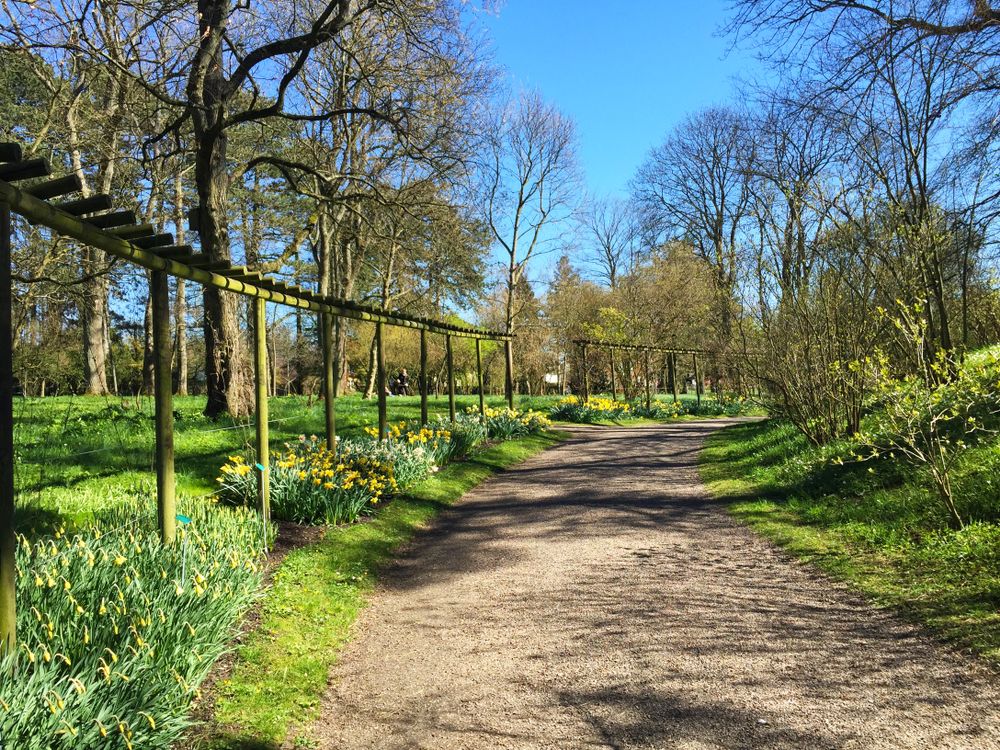 Mesmerizing walkway amidst the greeneries at Botanical Garden in Lund