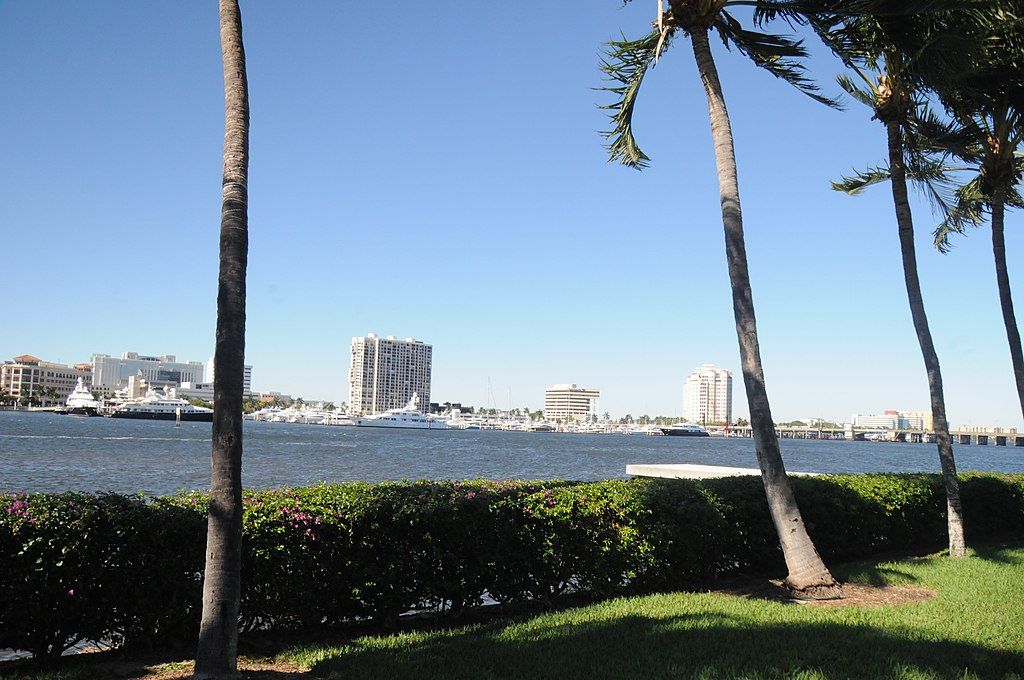 Trees near the waters of Lake Worth Lagoon.