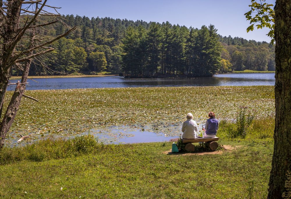 People sitting on a bench overlooking Bass Lake