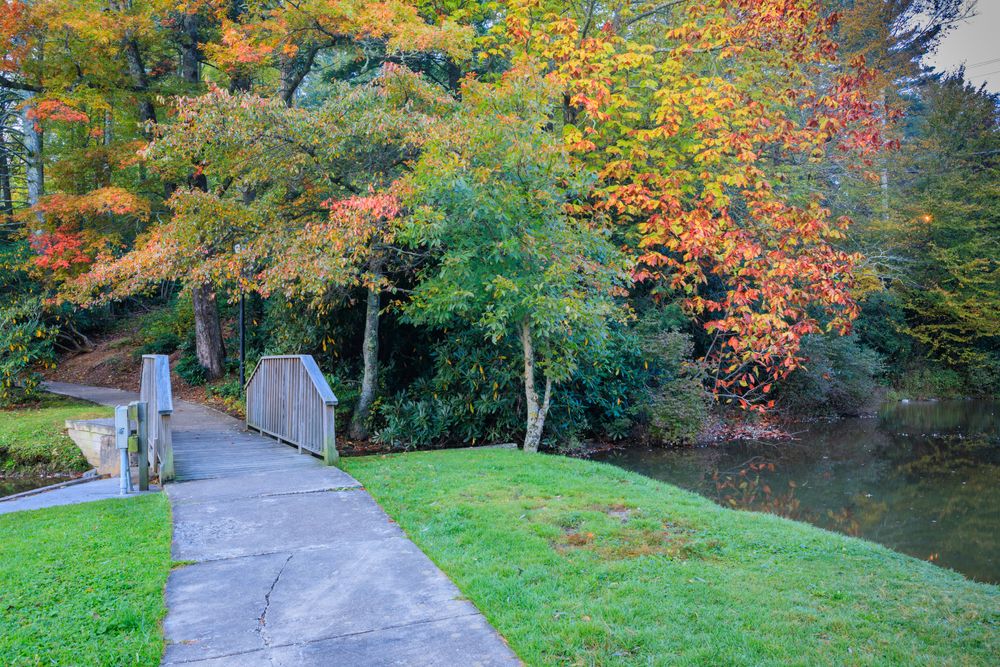 A pathway at Broyhill Park