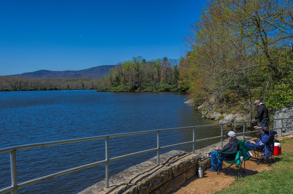 Men fishing at Julian Price Park