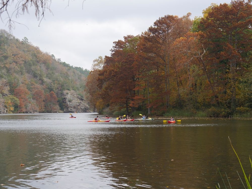 People kayaking on a river